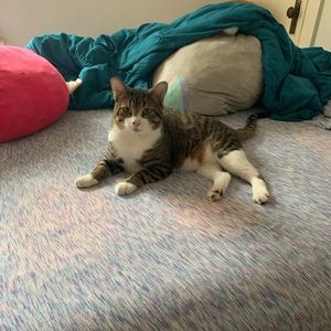 Meet your Posher, Amber